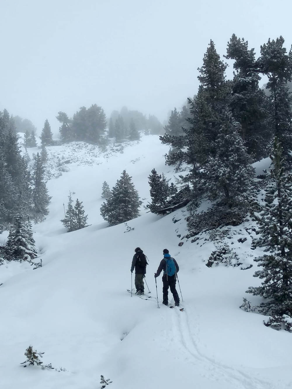 split board en randonnée accompagnée en pleine montagne avec Gabriel Bessy, moniteur diplômé